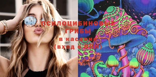 скорость Алексин