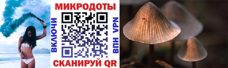 цены наркотик  hydra зеркало  Псилоцибиновые грибы GOLDEN TEACHER  Цивильск 